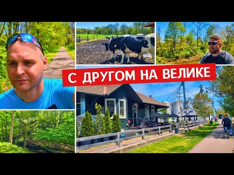Видео: 🇺🇲 НА ВЕЛИКЕ 30 КМ / ДЕРЕВНЯ АЛЕКСАНДРИЯ / ЧЕМ КОРМЯТ КОРОВ / С ДРУГОМ / БЫВШАЯ Ж/Д