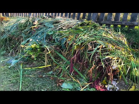 Видео: Как ускорить КОМПОСТ, чтобы за зиму перегнили даже толстые ветки и ботва
