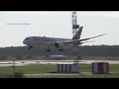 Видео: Аэропорт Домодедово, много разных самолетов.