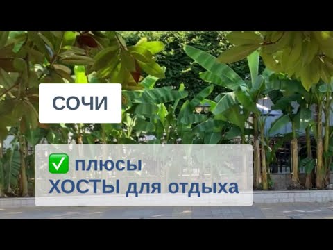 Видео: СОЧИ / ХОСТА / преимущества отдыха / улочка рядом с ПОЧТОЙ