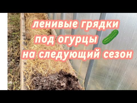 Видео: ленивые грядки под огурцы 🥒 (любые бахчевые) на следующий сезон 👍