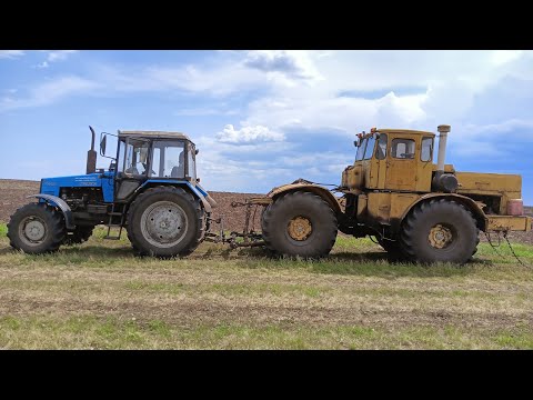 Видео: Движок на К700 стуканул