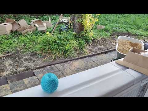 Видео: Дачный сезон #223 последние дни на даче)