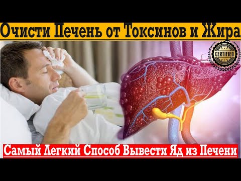 Видео: Самый лёгкий способ вывести токсины, жир и яд из печени!