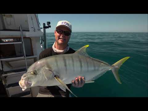 Видео: IFISH — Исследуем Эксмут!