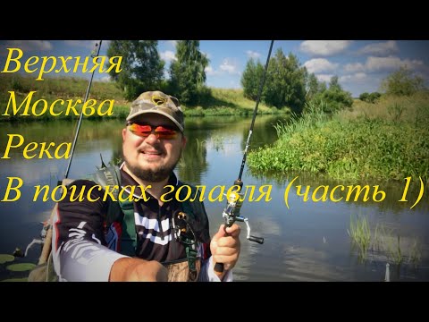 Видео: Верхняя Москва река. В поисках голавля (часть 1)