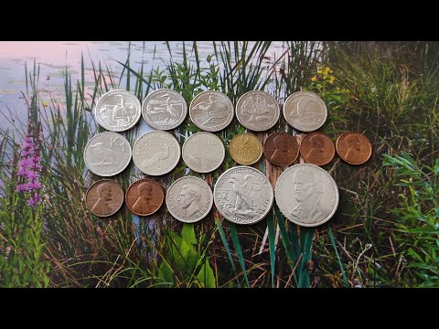 Видео: Чем порадовала барахолка на этот раз.