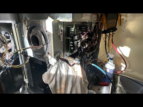 Видео: Встряхиватель Stoelting - не замерзает