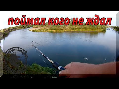 Видео: Ловля Голавля осенью на спиннинг. Рыбалка с высокого берега, в приглядку.