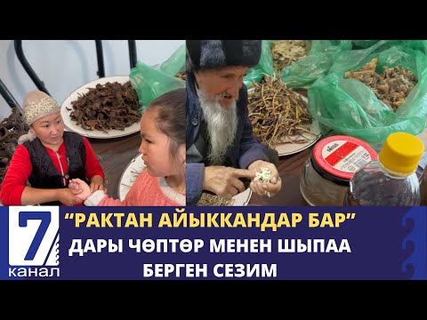 Видео: ЭЛДИ ДАРЫЛАГАН ЭЛДИК ДАРЫГЕР