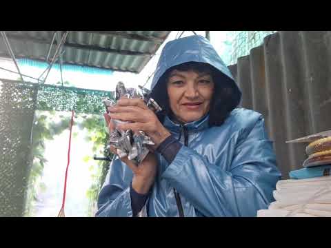 Видео: Посылка из Германии 🐕🦮👍👍👍