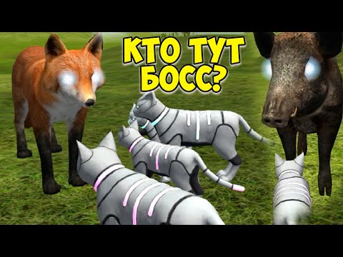 Видео: 😻Симулятор КОТА и КОШКИ🐾Победила всех боссов🐾cat sim (кат сим)