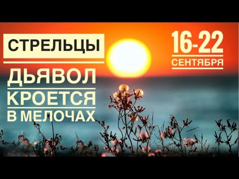 Видео: Стрелец ♐️ 16-22 сентября 2024 года 🗝🍀✨❤️☀️Таро Ленорман прогноз предсказания