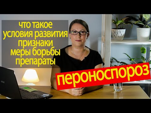 Видео: Пероноспороз огурца. Условия развития, признаки, меры борьбы, препараты.