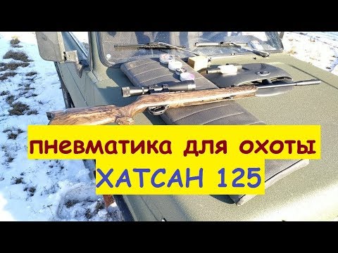 Видео: Самая мощная пневматическая винтовка. Хатсан 125.