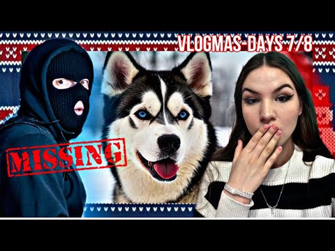Видео: Отвлякоха КУЧЕТО ми?VLOGMAS-ДЕН 7/8