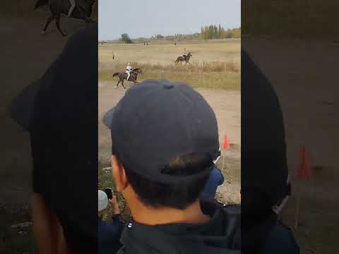 Видео: Ат 🐎 чабыш Жон Арык