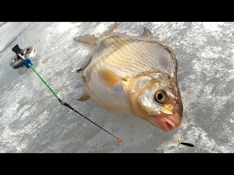 Видео: ЧЁРТИК. МАГИЯ ЛЕЩЁВЫХ ПОКЛЕВОК !!!