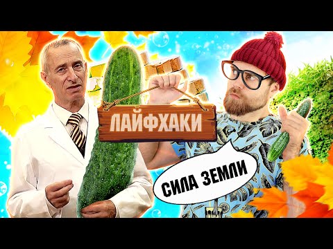Видео: Сила ЗЕМЛИ живого ОГУРЦА доктора ПОПОВА и радость от ЕДЫ по лайфхакам ПЕРВОГО канала - треш ОБЗОР