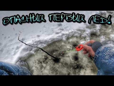 Видео: ПРОВАЛИЛСЯ НА ПЕРВОМ ЛЬДУ В ДЕКАБРЕ!ЛОВЛЯ ОКУНЯ И ПЛОТВЫ НА БЕЗМОТЫЛКУ!
