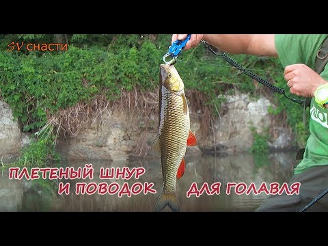 Видео: Плетеный шнур и поводок для ловли голавля. СВ-снасти