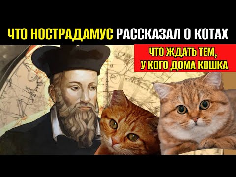Видео: ЕСЛИ У ТЕБЯ ЕСТЬ КОШКА, УЗНАЙ ЧТО ЖДЕТ ТЕБЯ! ЧТО НОСТРАДАМУС РАССКАЗАЛ О КОШКАХ И ЗНАКИ СУДЬБЫ!