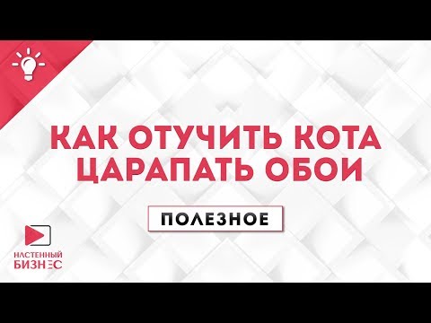 Видео: Полезное №14. Как отучить кота царапать обои