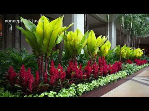 Видео: Экологичный оазис на заднем дворе: создайте пышный сад с минимальным воздействием на окружающую с...