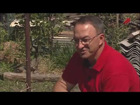 Видео: Альтернативный сад 6 серия виноград