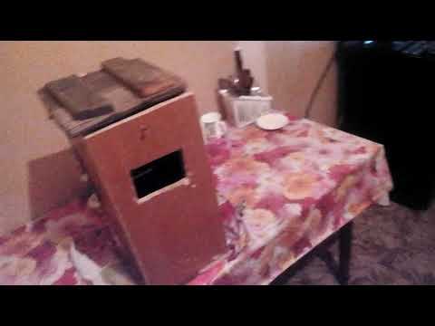 Видео: Ловим Куницу на Скворечник!!!