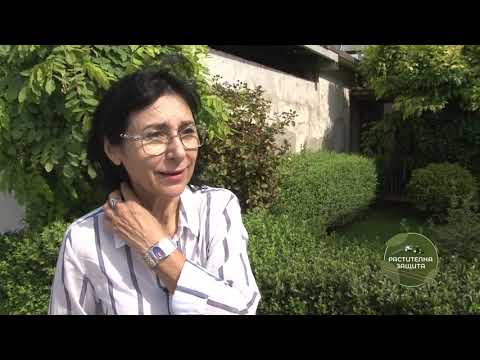 Видео: Растителна защита: Биологичната борба в растителната защита, автор: Диана Александрова