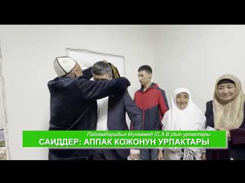 Видео: САИДДЕР: АППАК КОЖО УРПАКТАРЫ