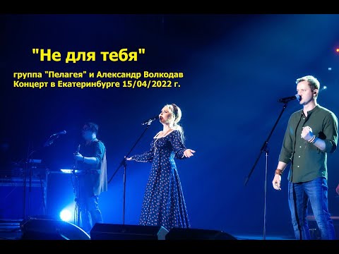 Видео: "Не для тебя" -гр.ПЕЛАГЕЯ и Александр Волкодав.Екатеринбург, 2022 #группапелагея #александрволкодав