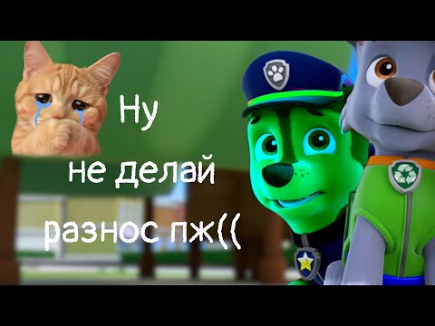 Видео: Зеллиот Всё же лицемер...? 2 видео для @PAWPOTRUL