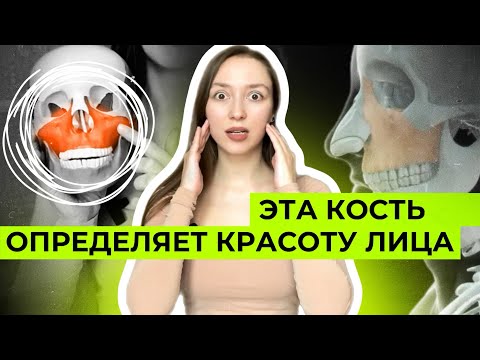 Видео: МАКСИЛЛА: как стать эталоном привлекательности