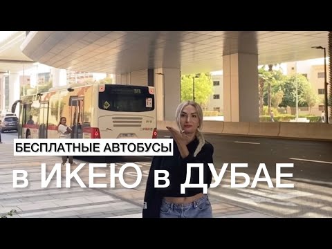 Видео: Бесплатные автобусы в Икею в Дубае.Как найти