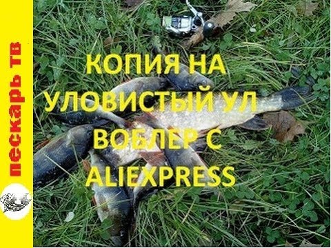 Видео: Копия на самый уловистый воблер для УЛ в моей коробке и др.