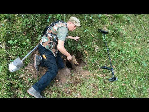 Видео: Под грибами НАХОДКИ прут по полной программе!