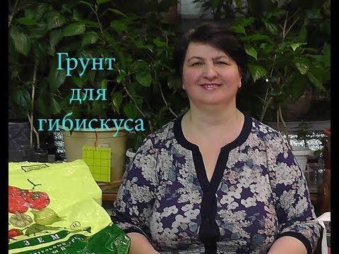 Видео: Как составить грунт для Гибискусов? -видео Ольги Пряниковой