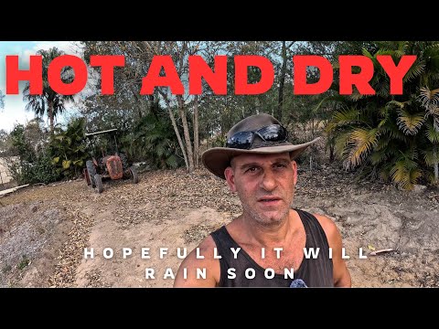 Видео: САДОВАНИЕ В суровых засушливых условиях Австралии