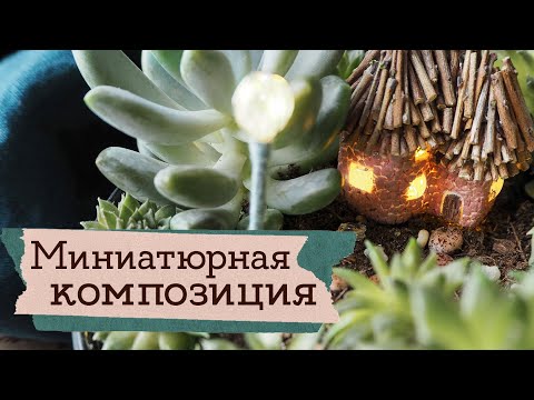 Видео: Домик феи суккулентов | Masherisha