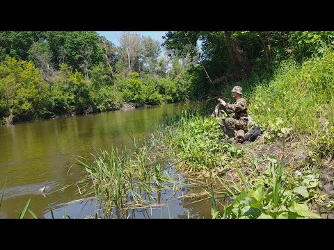 Видео: ПОПАЛ В ДИКОЕ МЕСТО И НАЛОВИЛ РЫБЫ рыбалка на поплавок 2023!