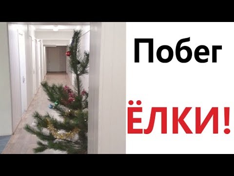 Видео: Лютые приколы. ПОБЕГ ЁЛКИ!!! Попробуй не засмеяться! Самое смешное видео! - Domi Show!