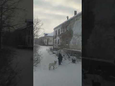 Видео: Воркута. Воргашор. пос. Северный.