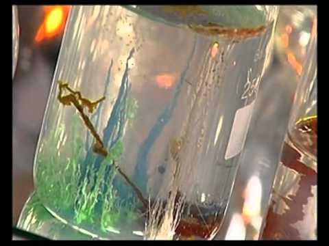 Видео: Химия 67. Разновидности клея — Академия занимательных наук