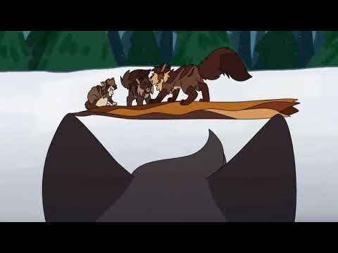 Видео: Тайна Щербатой: Битва домашних кисок | RUS.