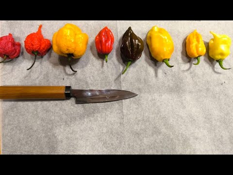 Видео: Дегустація надгострих перців з осіннього збору 2025