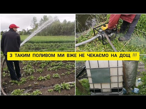 Видео: МОТОПОМПА FORTE FP20C для поливу городу/////  ЯК ПОЛИТИ ГОРОД ШВИДКО??? 2022