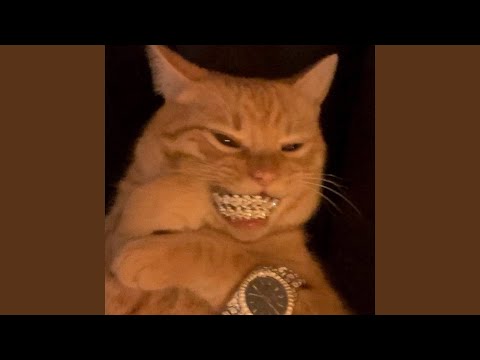 Видео: ПЬЮ, КУРЮ И БАБНИК