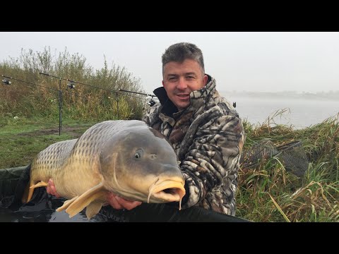 Видео: BIG FISH! Секрети рибалки на ВЕЛИКОГО КАРПА - на яку насадку ловити, точка, корм, гачок, монтаж.